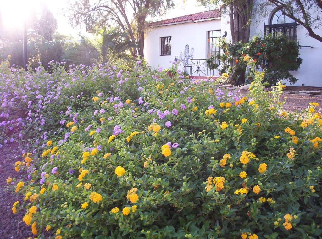 Sam Hughes Inn B&B 투산 외부 사진